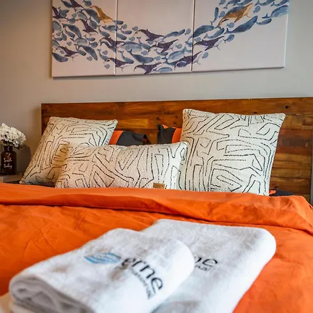 Beyoglu Benesta Residence, 1 Bedroom No-7 Διαμέρισμα *
